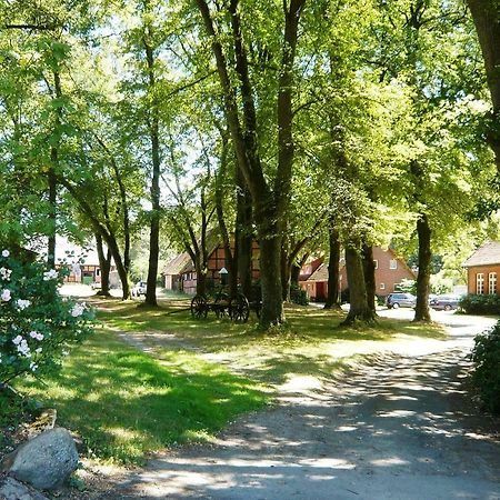 Ferienpension Lindenhof - Ferienwohnungen In Der Lueneburger Heide Marxen am Berge Exterior foto